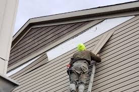 Best Siding for New Construction  in Buffalo, MN